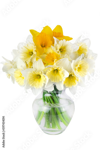 A bouquet of daffodils in a vase isolated on a transparent background.