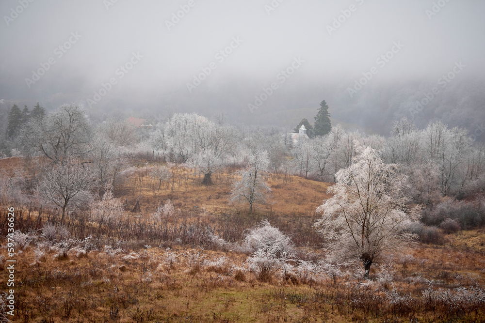 custom made wallpaper toronto digitalbeautiful winter landscape with fog