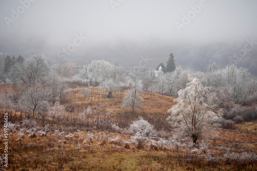 Wallpaper Mural beautiful winter landscape with fog Torontodigital.ca