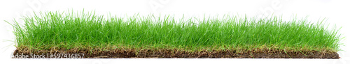 Wiese mit Grasnabe isoliert - Gras Hintergrund Panorama auf weiß photo