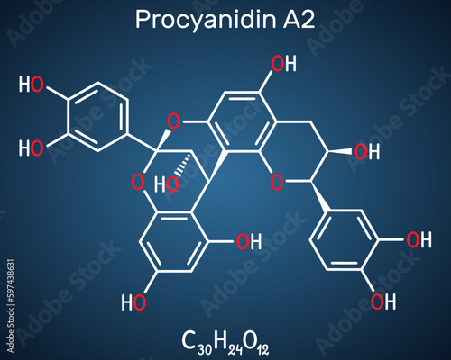 Procyanidin A2, proanthocyanidin A2 molecule. It is natural product, used in urinary tract infection prevention. Structural chemical formula on the dark blue background.