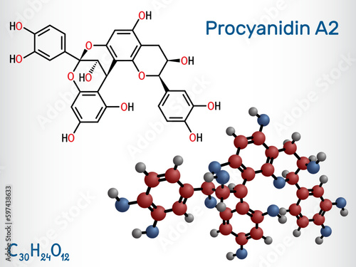 Procyanidin A2, proanthocyanidin A2 molecule. It is natural product, used in urinary tract infection prevention. Structural chemical formula, molecule model. Vector illustration