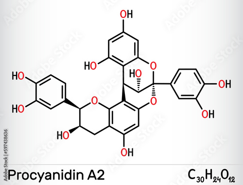 Procyanidin A2, proanthocyanidin A2 molecule. It is natural product, used in urinary tract infection prevention. Structural chemical formula