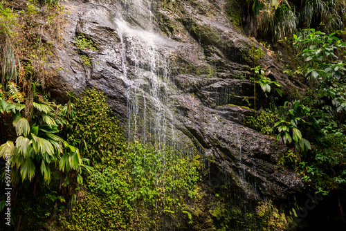 Cascade of Couleuvre river in tropical rain forest in Martinique (France) near Le Prêcheur and Mount Pelée. Highest waterfall of the island with water plunging down steep rocks and lush vegetation. photo