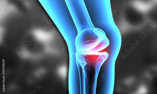 Human knee anatomy knee pain. 3d illustration..