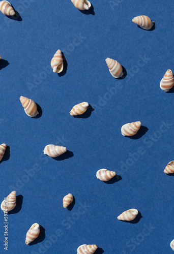 Seashells on the blue background seamless pattern flat lat. Top view