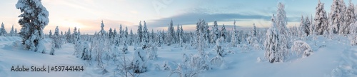 Winter in Riisitunturi National Park, Lapland, Finland © Peter Adams