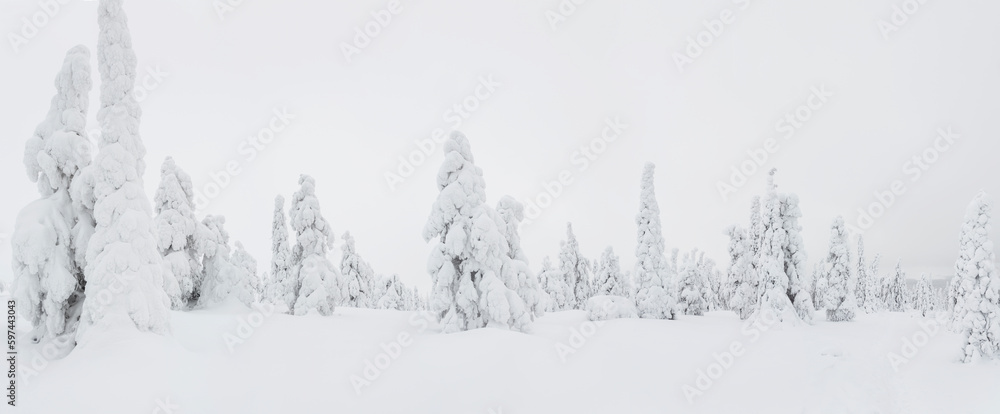 Winter in Riisitunturi National Park, Lapland, Finland - obrazy, fototapety, plakaty 