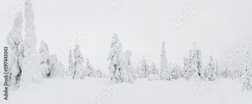 Winter in Riisitunturi National Park, Lapland, Finland © Peter Adams