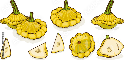 Set of Yellow Patty Pan squash or Scallop or Scallopini squash. Summer squash. Cucurbita pepo. Fruits and vegetables. Cartoon style. Vector illustration isolated on white background.