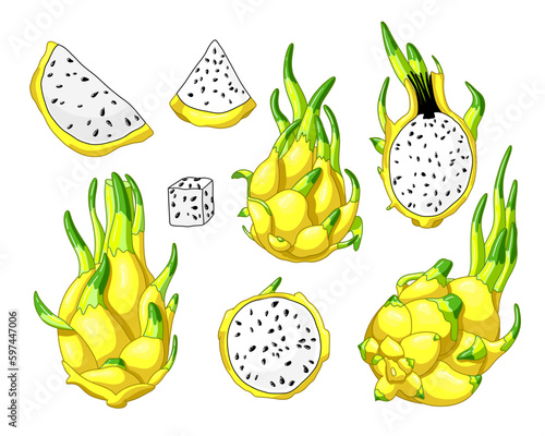 Set of yellow dragon fruits elements. Whole fruit, half and pieces of pitaya. Vector illustration, cartoon realistic style. Exotic juicy pitahaya. Tropical asian food