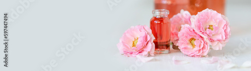 Concept of perfume with pure natural organic rose ingredient, essential oils. Glass bottles with flower herbal extract and elixir. Perfumery cosmetic toilet water fragrance, banner copy space for text