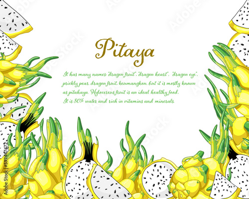 Dragon fruit frame. Exotic pitaya vector illustration. Healthy yellow pitahaya design of delicious pieces. Exotic juicy fruit