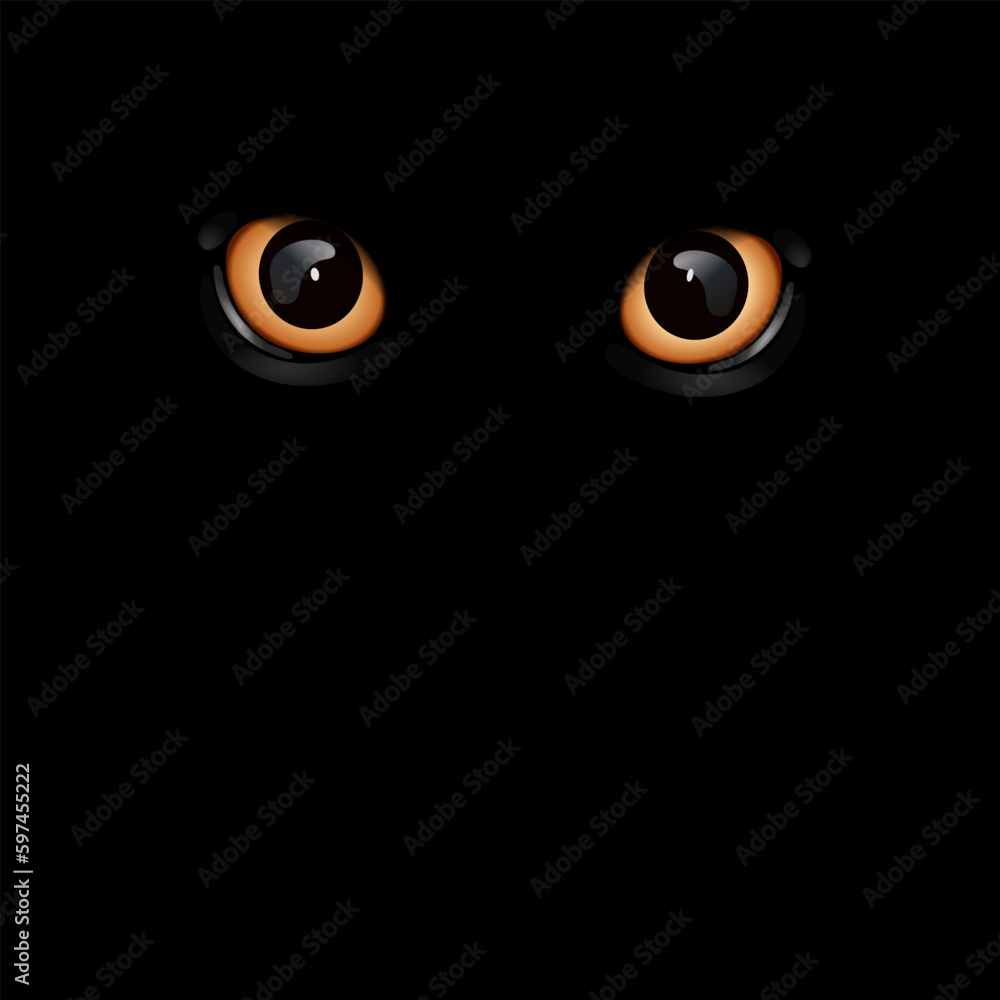 Vector illustration of cat eyes on black background.