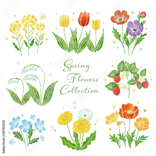 春のお花イラストコレクション