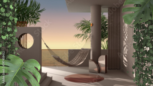 Jungle frame, biophilic concept idea interior design. Tropical leaves over tropical terrace with sunset sky. Cerpegia woodii and monstera deliciosa plants photo