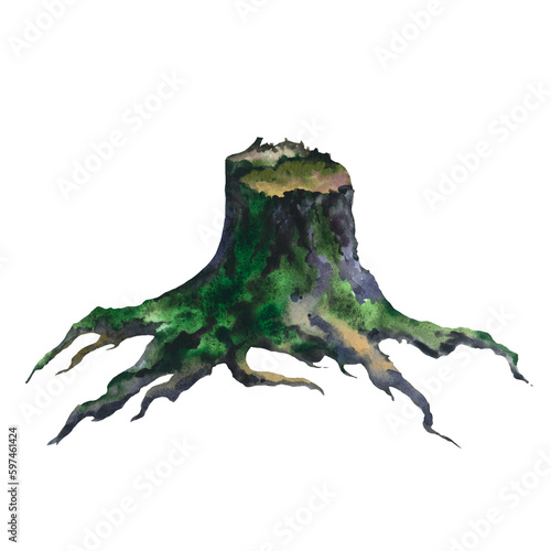 Picture of an old stump hand painted in watercolor on a white background. Watercolor realistic illustration. Tree cut trunk with green moss and grass. © Brelena