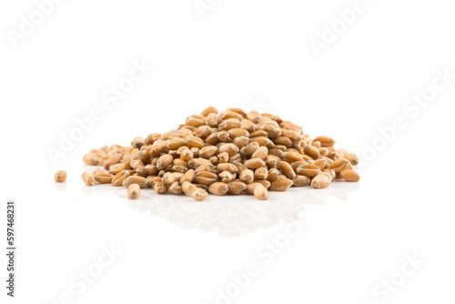 Wheat grain on white