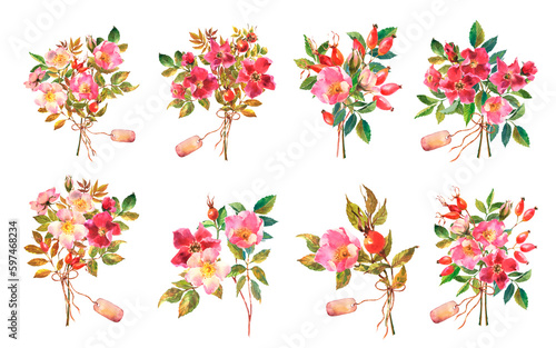 Set of Botanical wild rose flower watercolor. Watercolor bouquet of rose hip flowers, leaves and berries, hand drawn floral illustration isolated on a white background