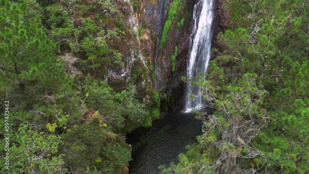 Aguas Blancas the highest Waterfall in Constanza aerial view through coniferous trees. The beautiful nature of the Dominican Republic Aguas Blancas the highest Waterfall in Constanza aerial view through coniferous trees. The beautiful nature of the Dominican Republic