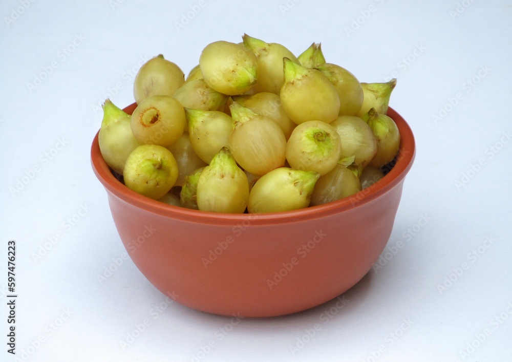 Madhuca longifolia or Mahua in a bowl on white background Madhuca longifolia or Mahua in a bowl on white background
