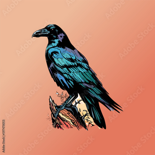 Colored vector  inked style crow wall art