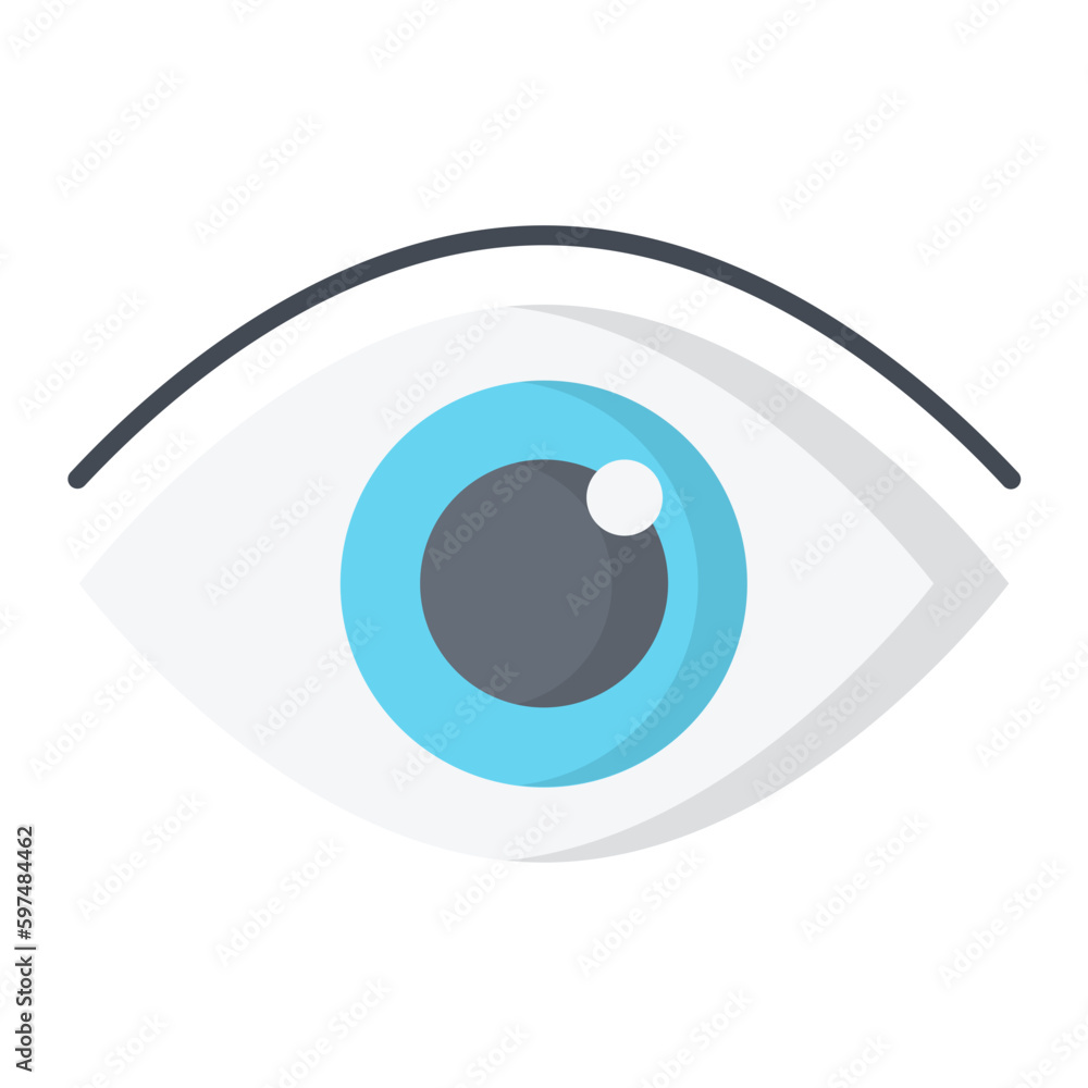 Vision Flat Icon Vision Flat Icon