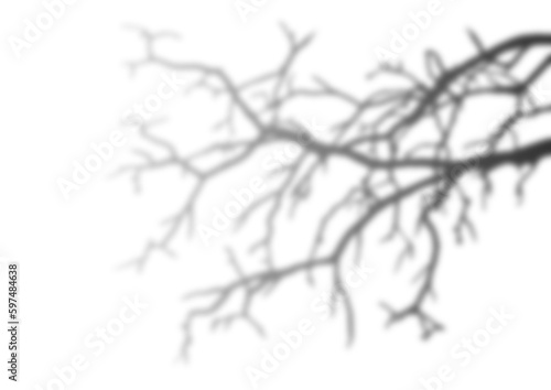 Silhouette Black And Transparent Tree Branches - Perfect For Nature And Landscape Enthusiasts Plant Monstera Shadows Transparent PNG  