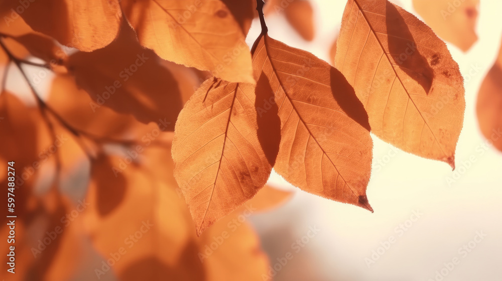 Autumn Leaves Background Illustration AI Generative. Autumn Leaves Background Illustration AI Generative.