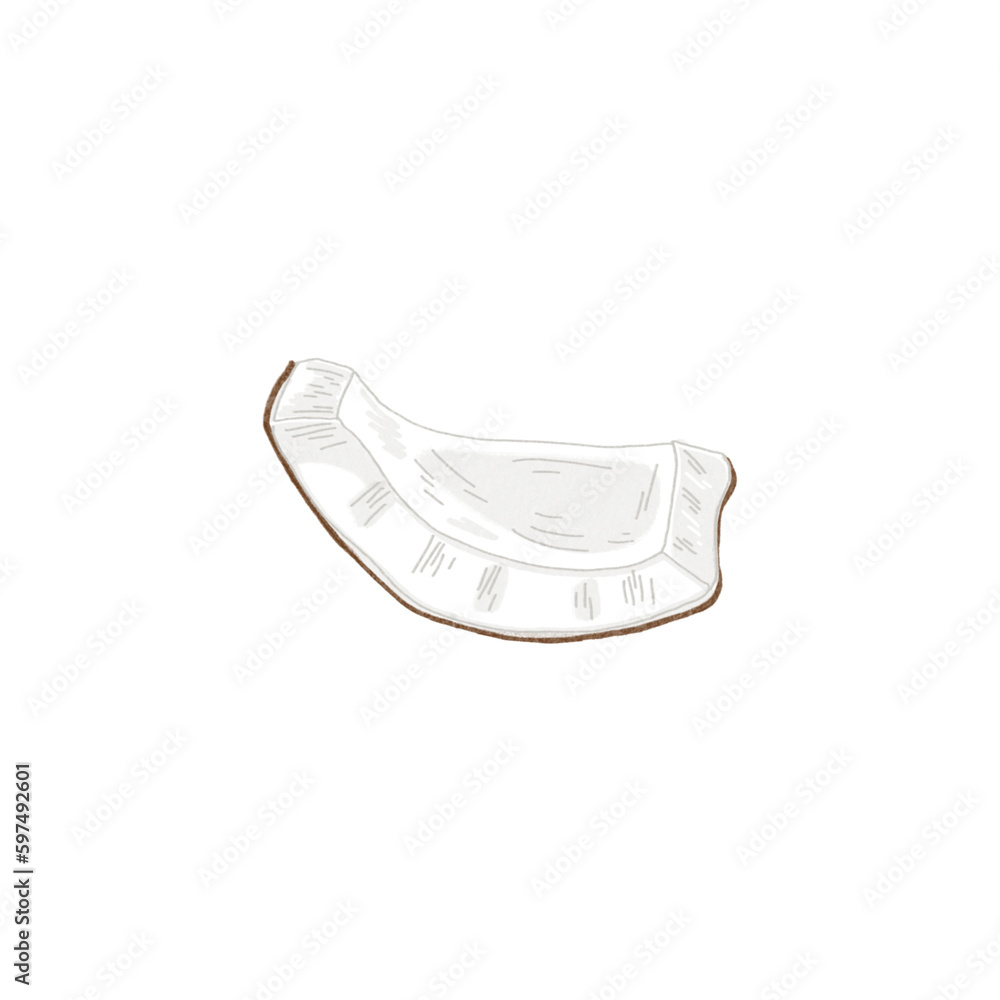 Coconut meat PNG Coconut meat PNG
