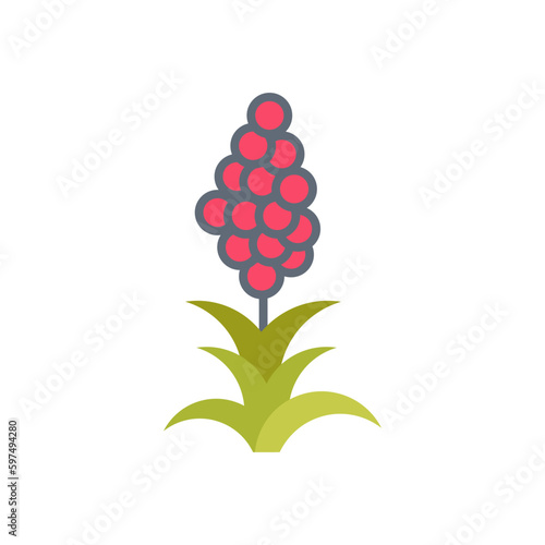 Quinoa icon in vector. Illustration