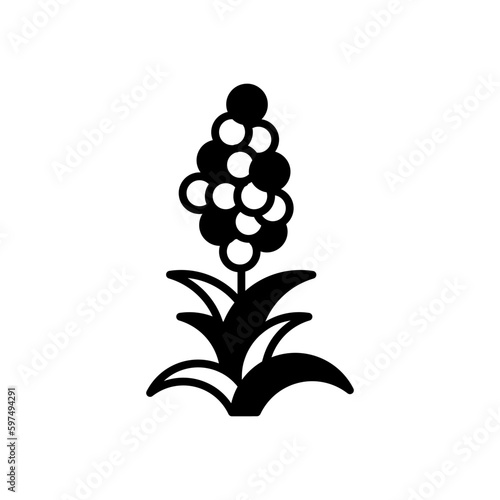 Quinoa icon in vector. Illustration