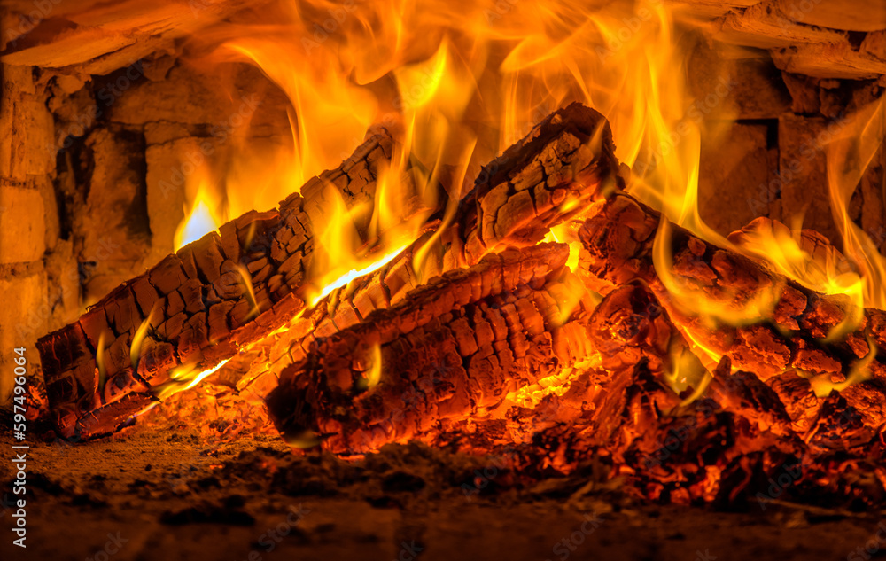 Obraz premium A few birch logs burning in the fireplace 