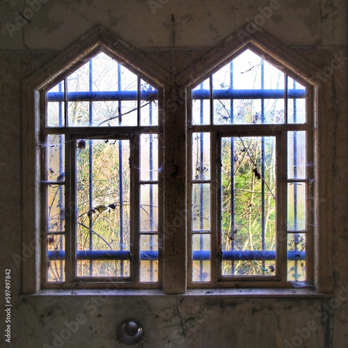 Two windows with bars and vines in an abandoned building
