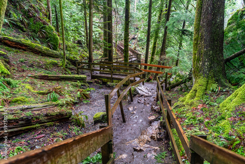 Twin Falls Trail Bridge