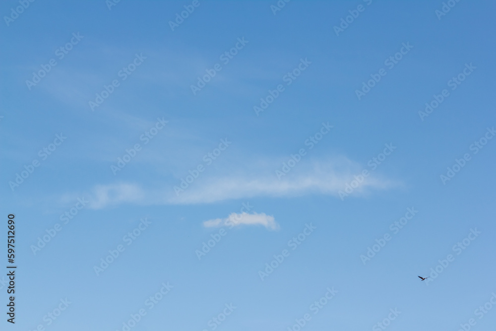 Light clouds in the blue sky with a bird. Light blue background in the air. Light clouds in the blue sky with a bird. Light blue background in the air.