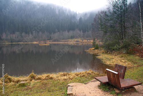 ruhiger See im Wald