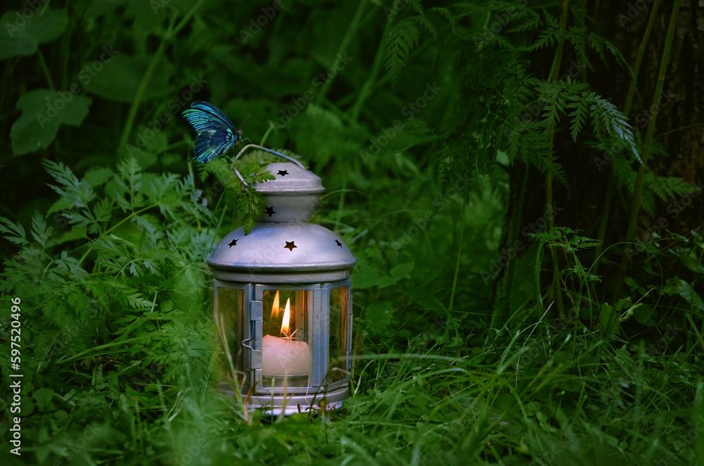 beautiful butterfly and candle lantern in evening summer forest, natural dark abstract background. romantic mystery atmosphere image. magic mood. template for design. copy space