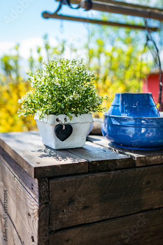 Still life with flowers in the garden and blue dishes on a wooden table in the garden