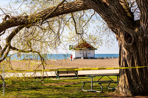 Photography clean up of a large broken willow tree branch  in a public park in spring with c