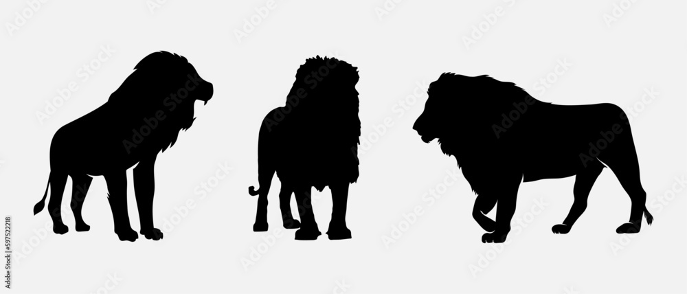 Naklejka premium isolated black silhouette of a lion , vector collection