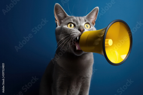 Curious Cat Making Announcement with Yellow Megaphone