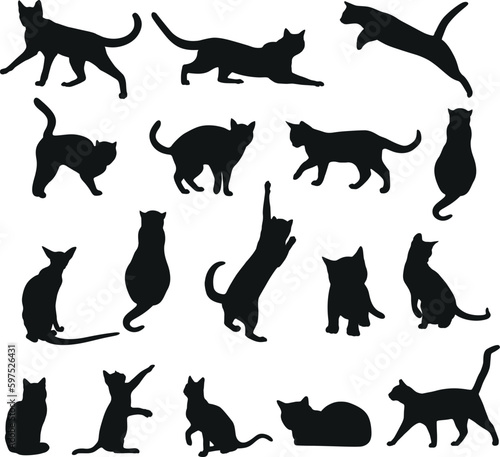 Set of different cat silhouette vector illustration