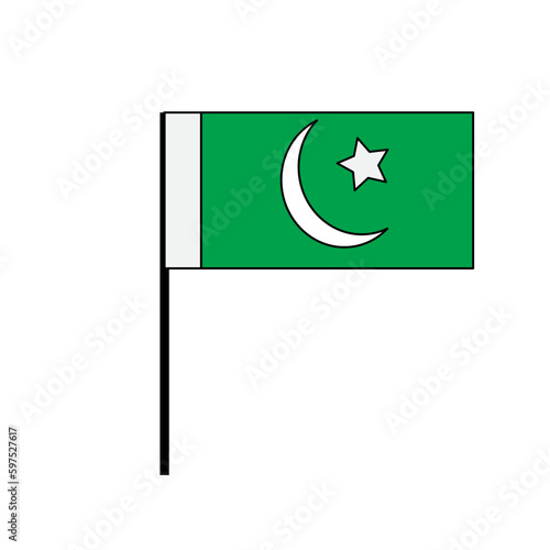 Flag Of Pakistan / Green Flag / Pakistani Flag /