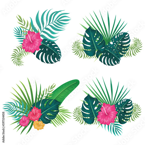 leaf monstera deliciosa