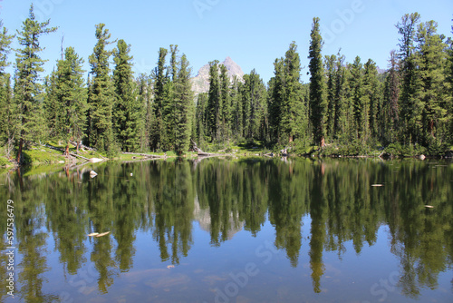 Pond surrounded by cedar forest. Mountain lake Medvezhye in Ergaki nature park, Siberia, Krasnoyarsk region, Russia