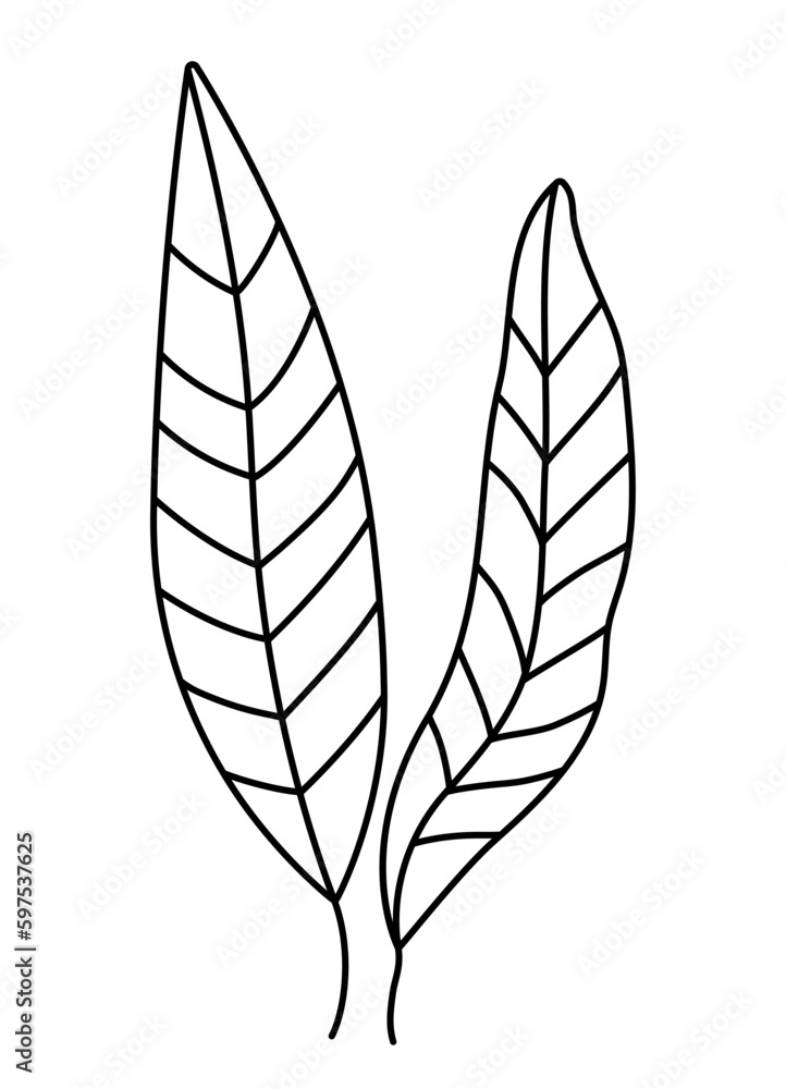 Vector black and white seaweeds icon. Under the sea line illustration with cute kelp. Ocean plant clipart. Cartoon underwater or marine clip art or coloring page for children. Vector black and white seaweeds icon. Under the sea line illustration with cute kelp. Ocean plant clipart. Cartoon underwater or marine clip art or coloring page for children.