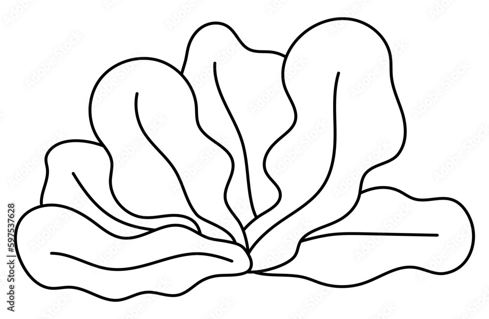 Obraz premium Vector black and white seaweeds icon. Under the sea line illustration with cute kelp. Ocean plant clipart. Cartoon underwater or marine clip art or coloring page for children.