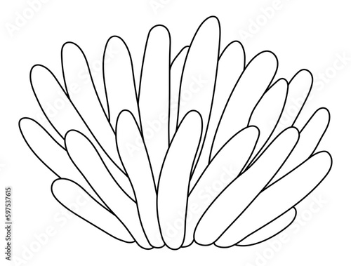 Vector black and white sea anemone icon. Under the sea line illustration with cute actinia seaweeds. Ocean plant clipart. Cartoon underwater or marine clip art, coloring page for children.