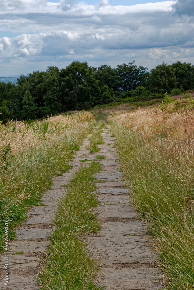 The Old Stone footpath crossing The Chevin above the market Town of Otley on a cloudy Summers day in July. The Old Stone footpath crossing The Chevin above the market Town of Otley on a cloudy Summers day in July.